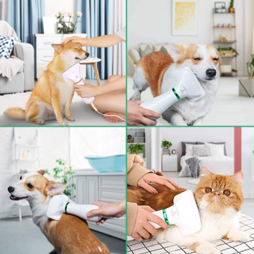 2u1 češalj i fen za sušenje dlaka ljubimaca