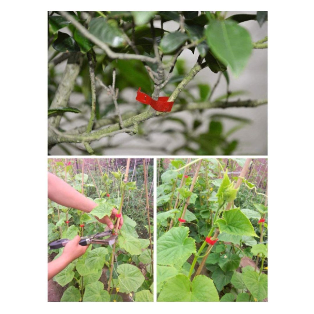 Vezačica za vinovu lozu