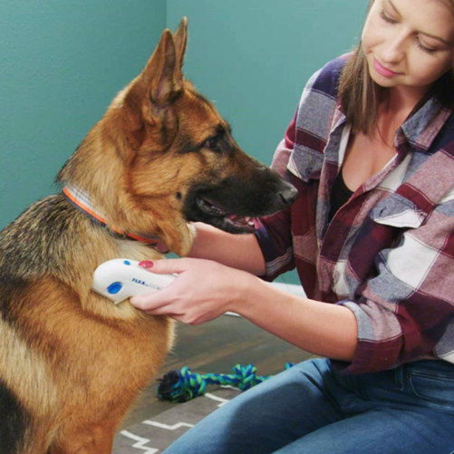Flea Doctor – Električni češalj protiv buva za ljubimce