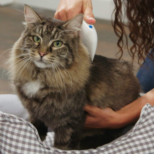 Flea Doctor – Električni češalj protiv buva za ljubimce