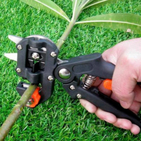 Makaze za kalemljenje